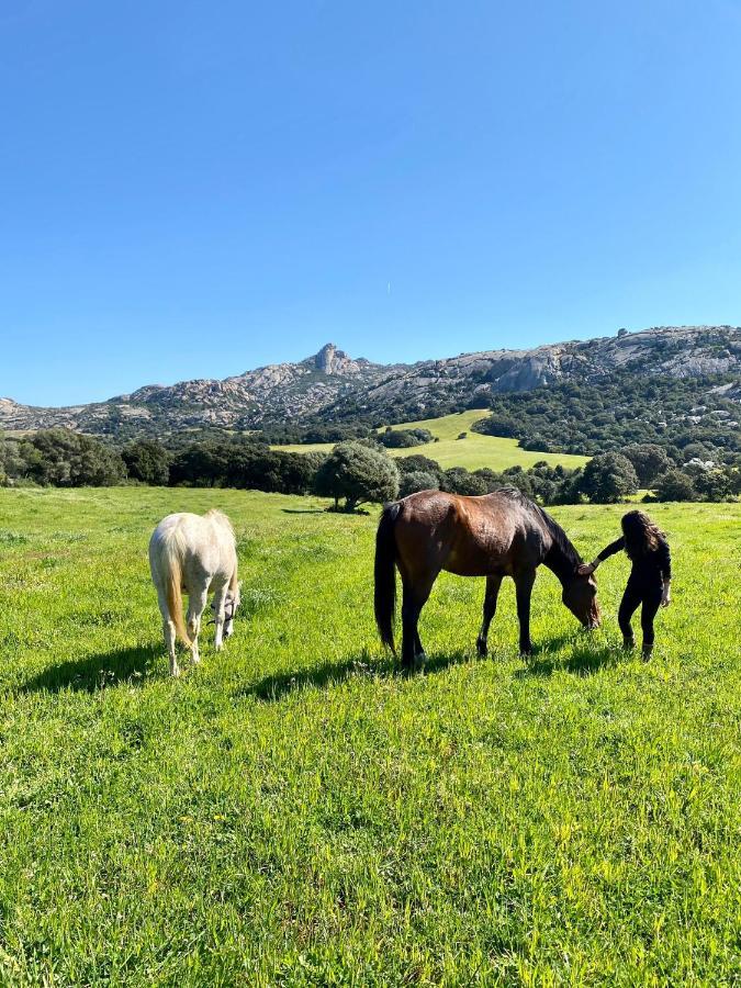 Agriturismo Lu Branu Arzachena Zewnętrze zdjęcie