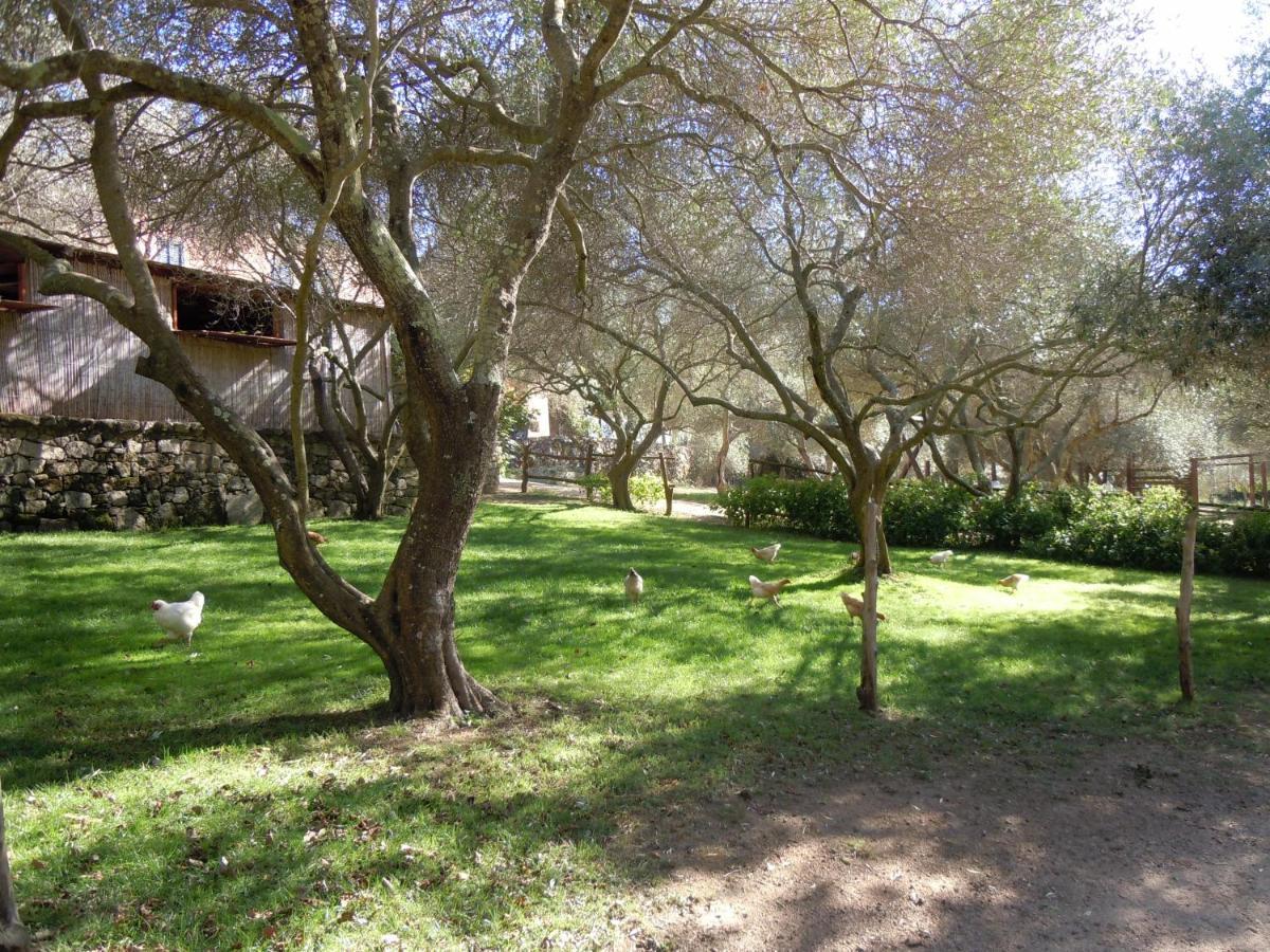 Agriturismo Lu Branu Arzachena Zewnętrze zdjęcie